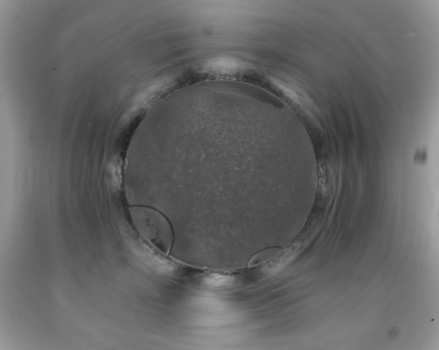 X0000092020718200709061553