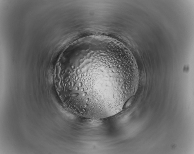 X0000092020719200709061553
