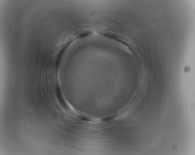 X0000092020720200709061553