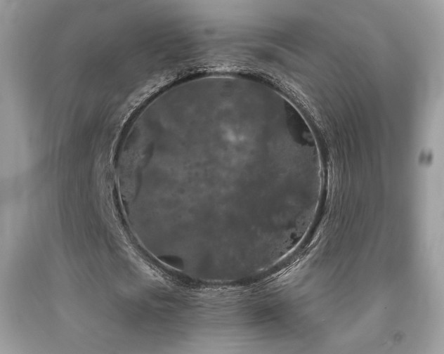 X0000092020721200709061552