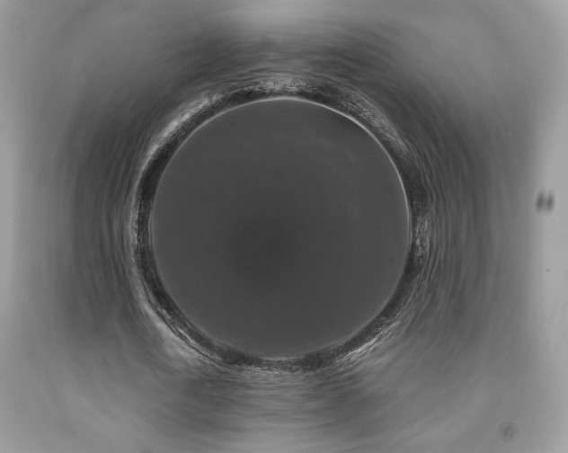 X0000092020722200709061552