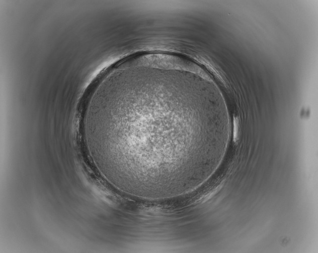 X0000092020723200709061552