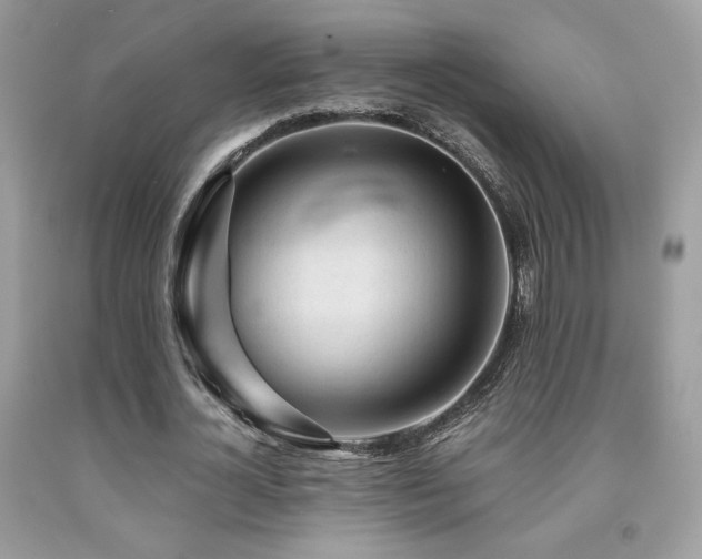 X0000092020724200709061552
