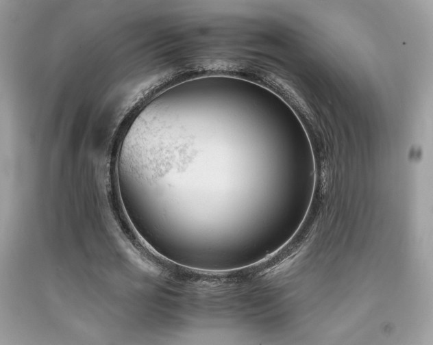 X0000092020725200709061552