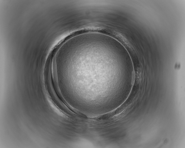 X0000092020726200709061552