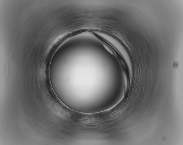 X0000092020727200709061552