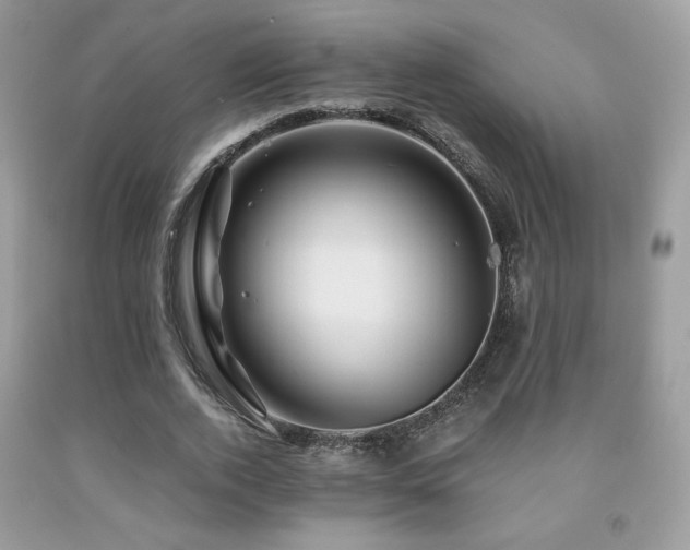 X0000092020728200709061552