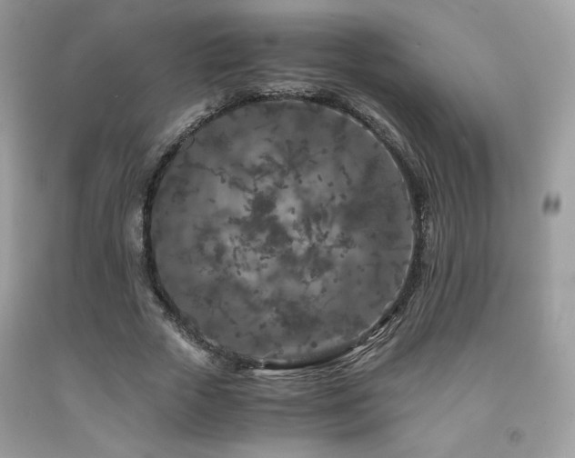 X0000092020729200709061552