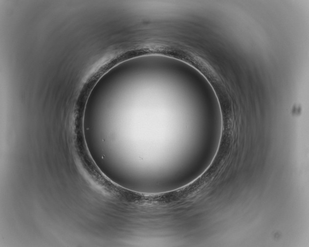 X0000092020730200709061553