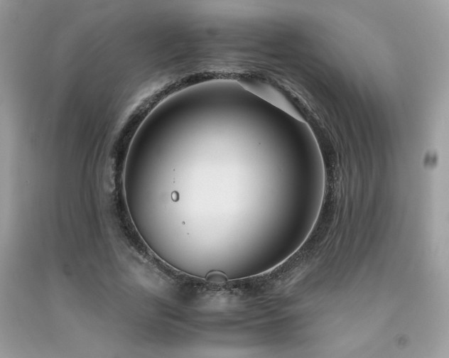 X0000092020731200709061553