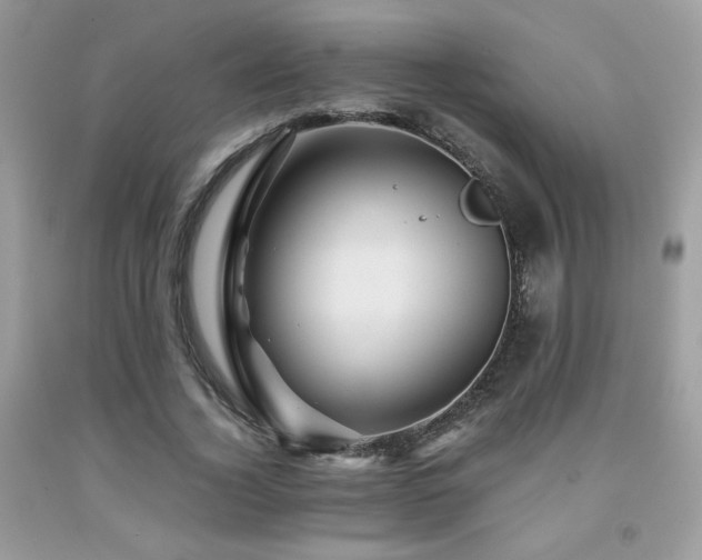 X0000092020732200709061553
