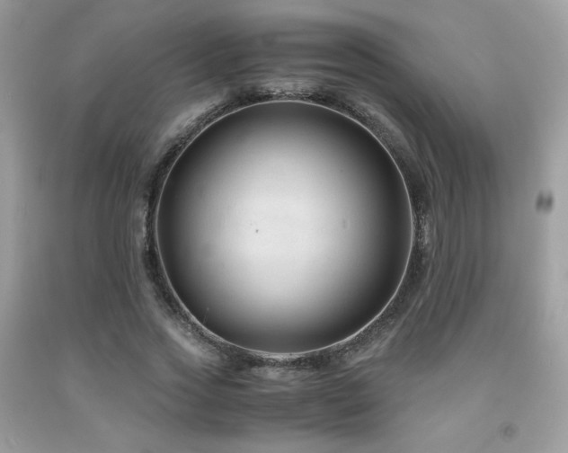X0000092020733200709061553
