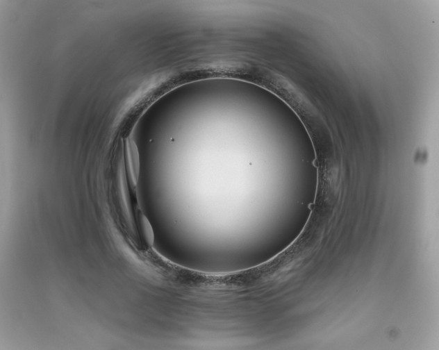 X0000092020734200709061553