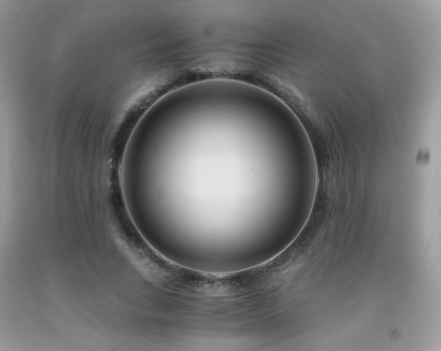 X0000092020735200709061553