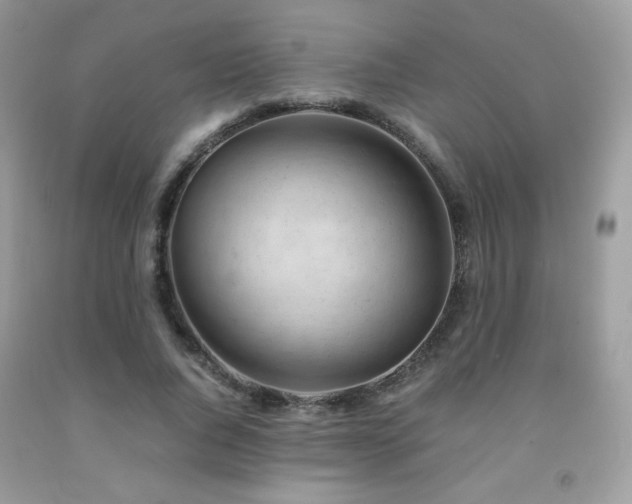 X0000092020736200709061553