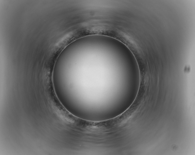 X0000092020737200709061553