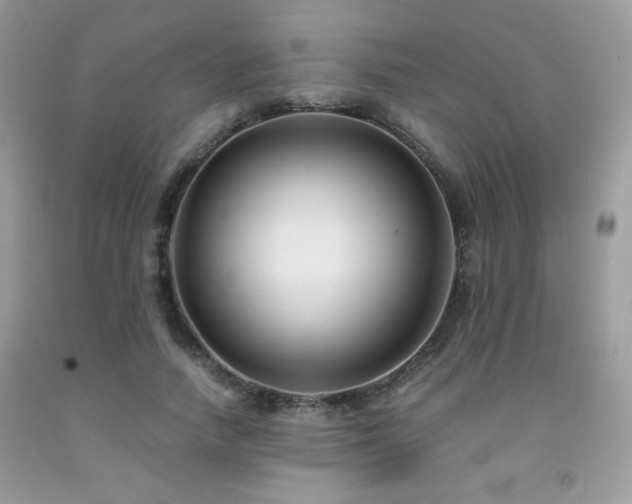 X0000092020738200709061553