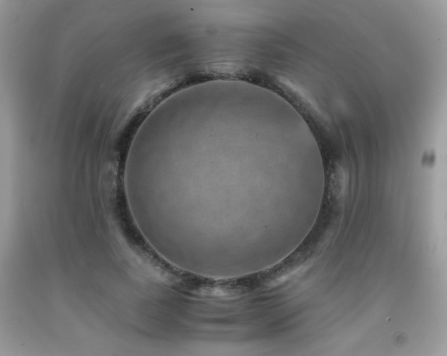 X0000092020739200709061553