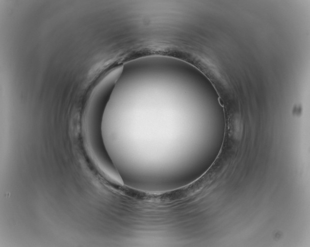 X0000092020740200709061553