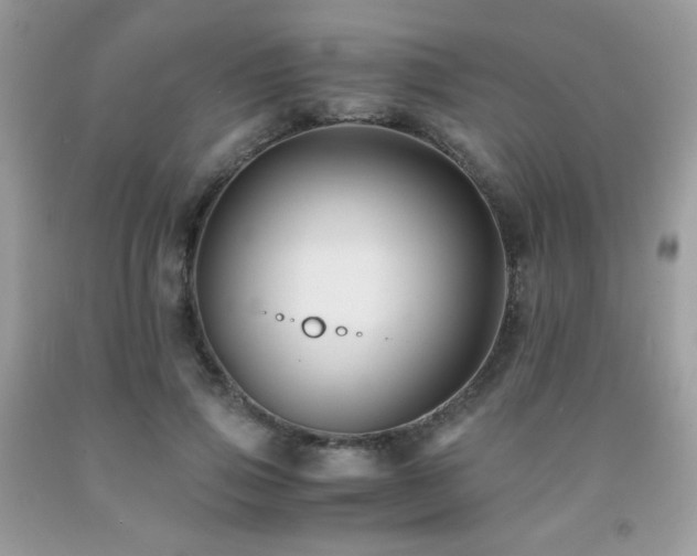 X0000092020741200709061553