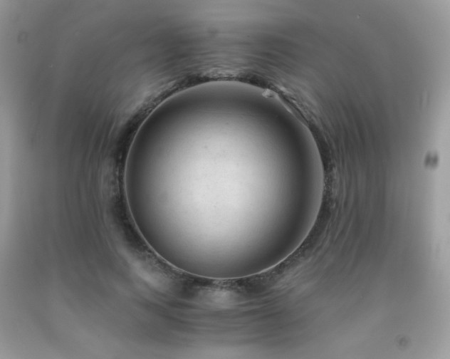 X0000092020743200709061553