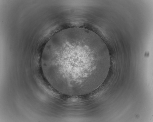 X0000092020745200709061553