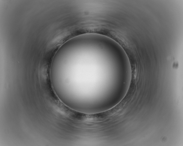 X0000092020746200709061553