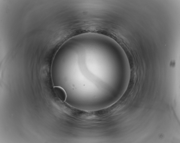 X0000092020747200709061553