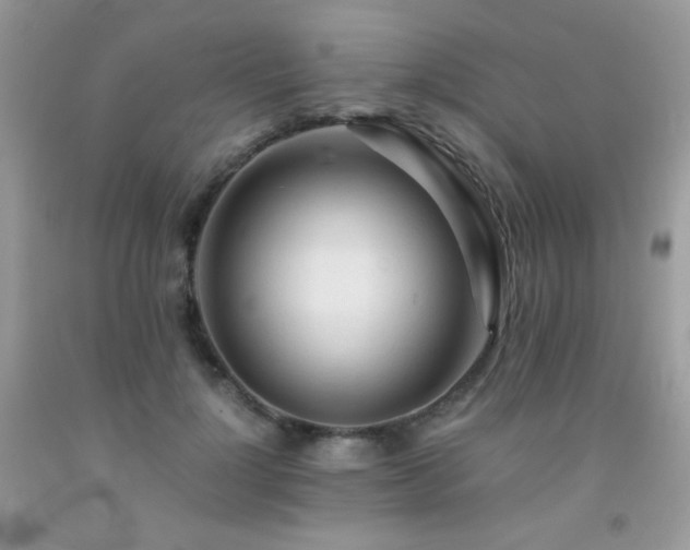 X0000092020748200709061553