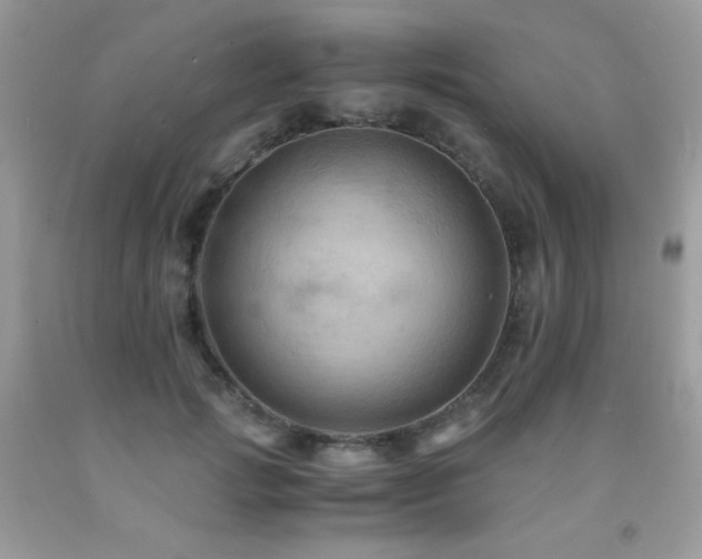 X0000092020749200709061553