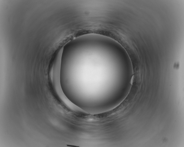 X0000092020750200709061553