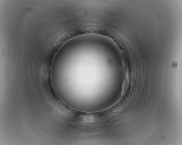 X0000092020751200709061553