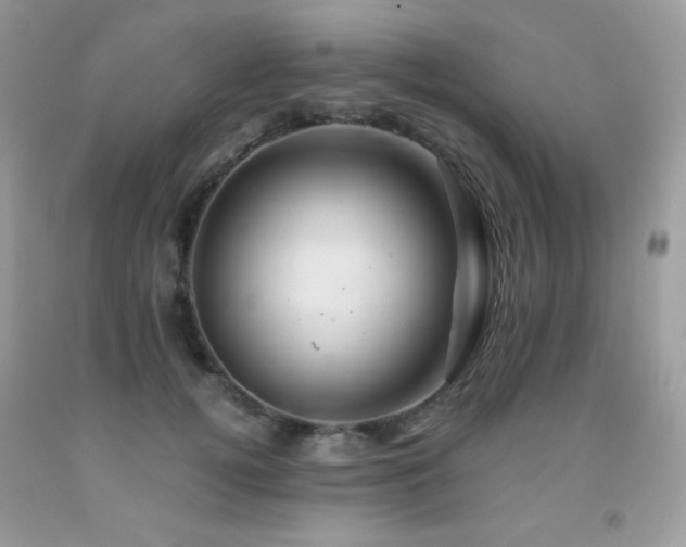 X0000092020752200709061553