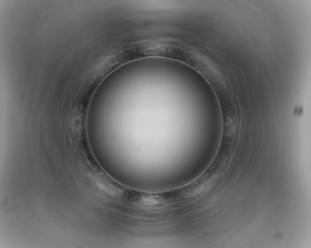 X0000092020753200709061553