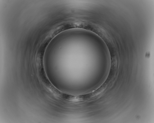 X0000092020754200709061553