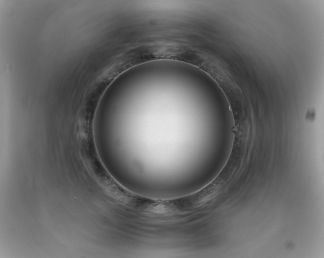 X0000092020755200709061553