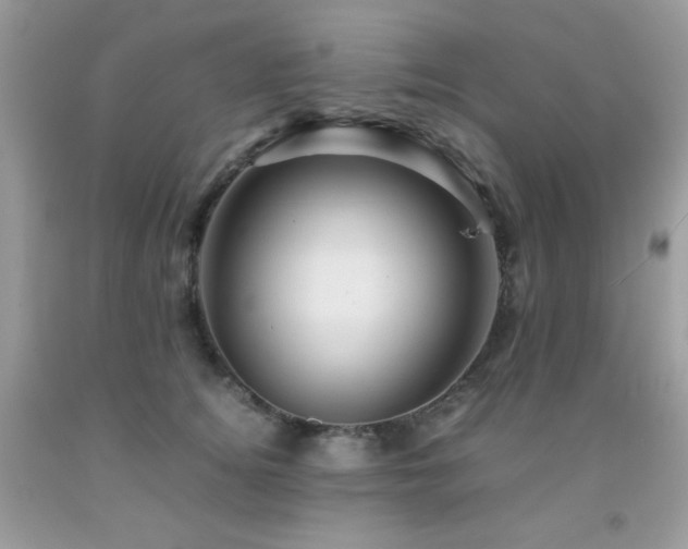 X0000092020756200709061553