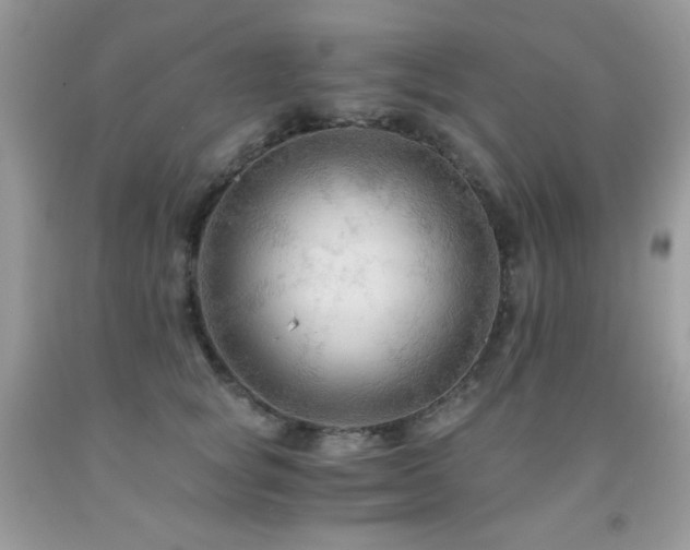 X0000092020757200709061553