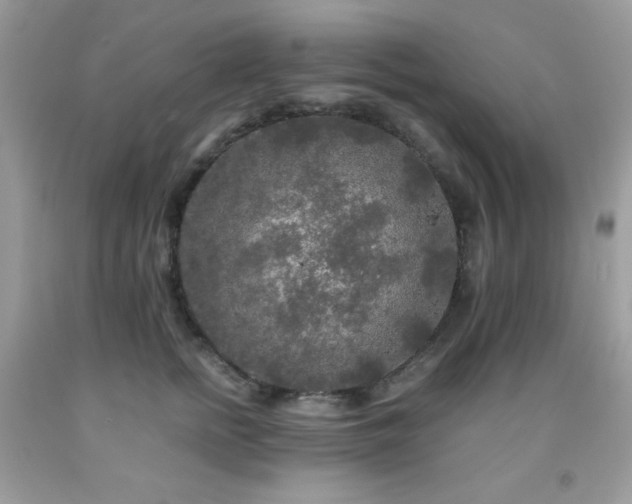 X0000092020758200709061553