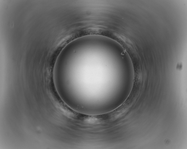 X0000092020759200709061553