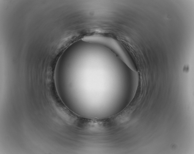 X0000092020760200709061553