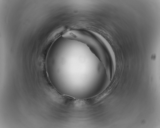 X0000092020762200709061553