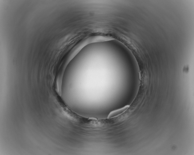 X0000092020764200709061553