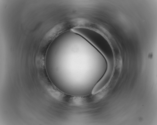 X0000092020766200709061553