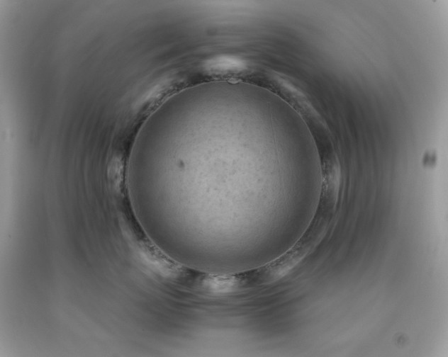 X0000092020767200709061553