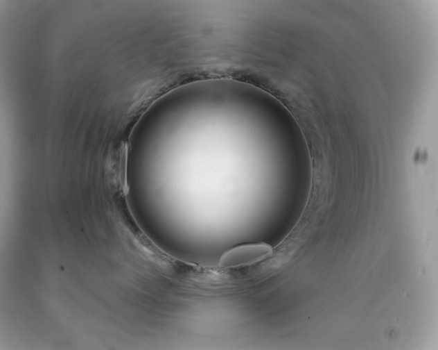 X0000092020768200709061553