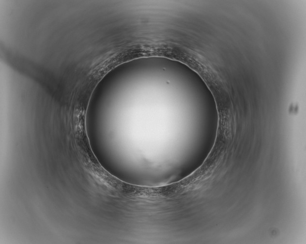 X0000092020770200709061552