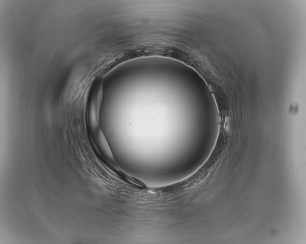 X0000092020771200709061552