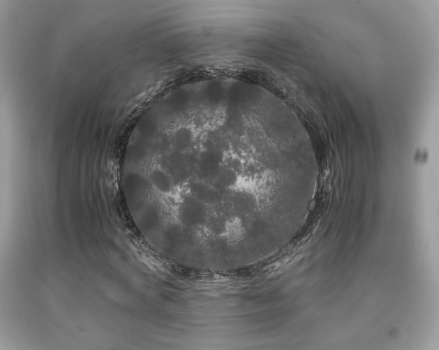 X0000092020772200709061552