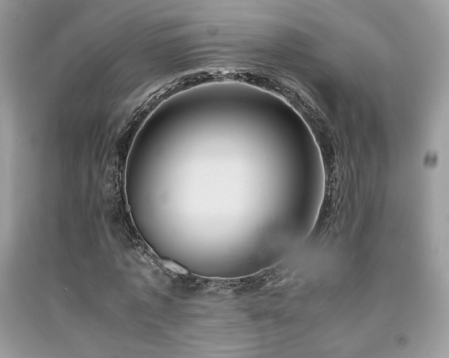 X0000092020773200709061552